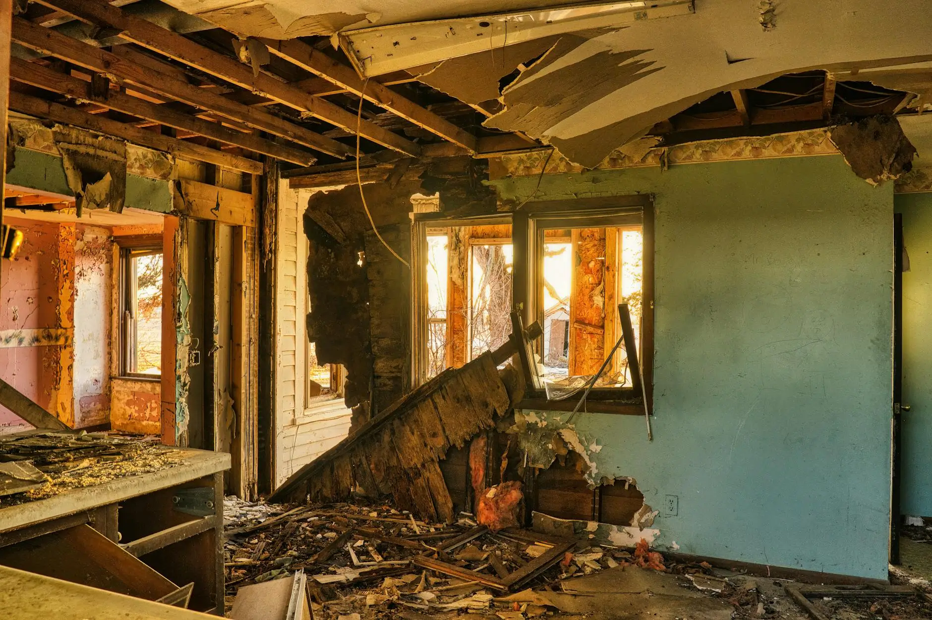 Leading Mold Removal Company in Miami — Miami, FL